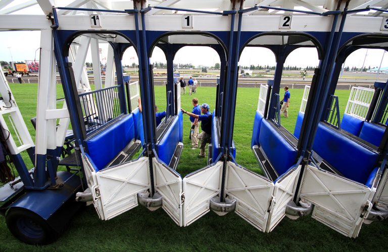 Today’s Free Horse Picks Thursday, October 10th 2024