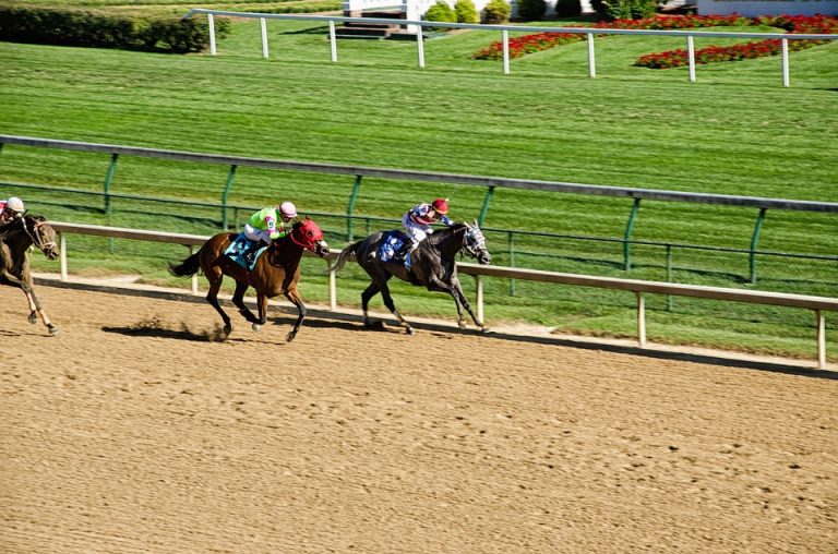 Today’s Free Horse Picks Monday, September 16th 2024