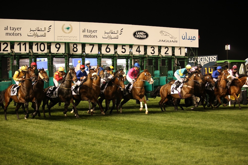 Dubai World Cup Entries And Free Picks 2022 9430