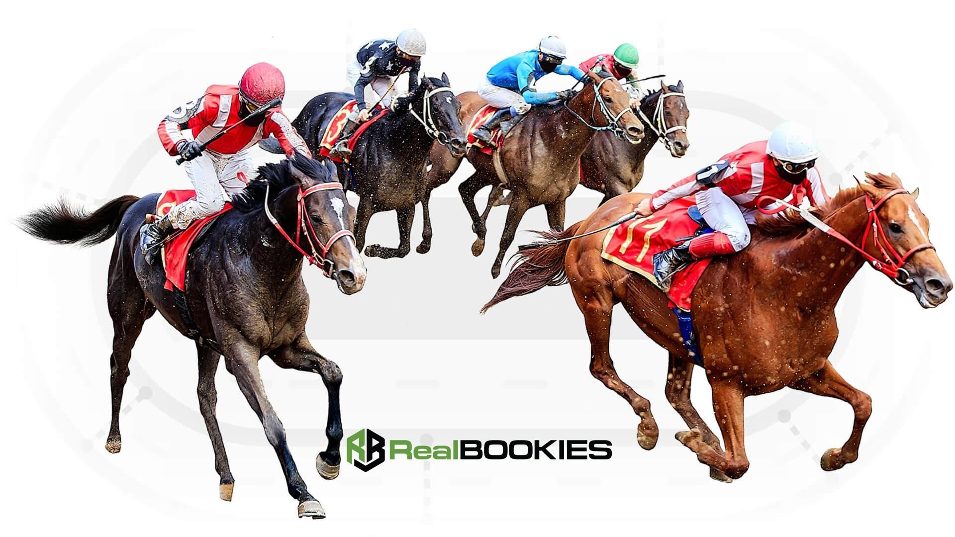 most profitable horse betting system