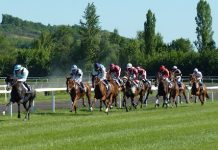 Keeping Sports Fans Engaged During Off-Season Breaks