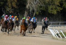 Today’s Free Horse Picks – Monday, May 11th 2026
