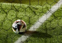 The Bundesliga Title Race Is Over – But the Smart Money Moves to the Top-Four Fight