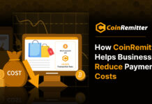 How CoinRemitter Helps Businesses Reduce Payment Costs